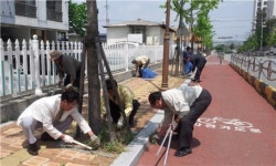 충주시 호암직동 청춘봉사단이 떴다