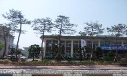 진천군, 소나무 가로수길 탄생