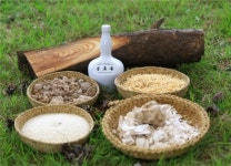 솔향이 솔솔~ 송로주! - 임경순 장인(충북무형문화재 3호)