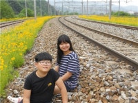 노랗게 물든 화사한 동량면