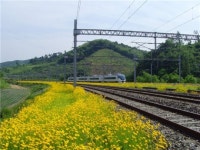 코레일 충북본부 선로변 푸른 철길 조성활동