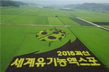 괴산군 유색벼 논 그림 새로운 광고매체로 부상