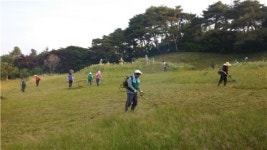 금가면 새마을협의회, 이수일장군 묘 제초작업 실시