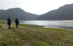 대청호둘레길 도보여행 - 산덕리~문덕리