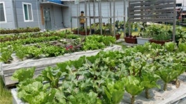 정부와 농촌진흥청, 각 광역단체 농업기술원이 추구하는 농업