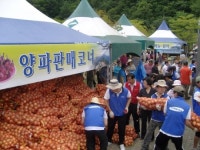 월악산 한수 양파축제 미리보기