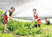 농사와 기부가 만났다 - 바르게살기운동 내덕1동 위원회