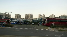 정부세종청사 공무원 출퇴근 버스 운행,이게 아닌데...