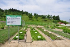 국립산림품종관리센터, 오창에 신품종 재배시험장 설치