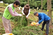 국립산림품종관리센터, 전국 최초 낙엽송 종자(씨앗) 채취 체험