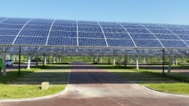 세종호수공원 주차장에 또 하나의 명물 생겼네