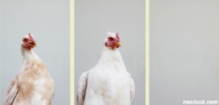 2014 청주미술창작스튜디오 릴레이 전시 프로젝트