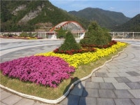 단양군, 가을국화 거리 등 아름다운 경관 조성
