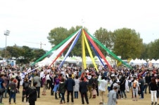 증평인삼골축제, 2년연속 충북도 유망축제 선정