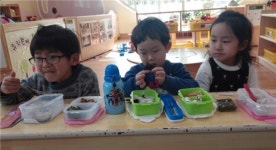 비봉유치원, 엄마가 싸준 도시락이 최고에요