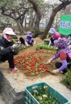 청주 곳곳마다 꽃향기 가득