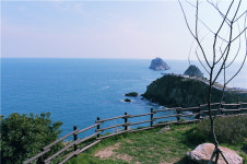 웰빙여행 - 부산 이기대(二妓臺)길