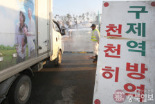 충주 양돈농장서 구제역 확진…도내 감염농가 36곳