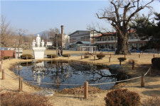 100년의 학교역사가 말한다 - 괴산 청안초등학교
