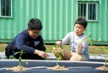 청주 신송초, 텃밭 가꾸기 체험