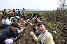 진천이월초등학교 감자심기 행사 실시