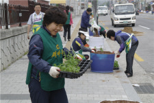 충주 용산 주민센터, 도로변 조성사업 실시