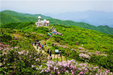단양 소백산철쭉제 열려…볼거리 즐길거리 가득