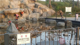 문암생태공원 얌체족 기승