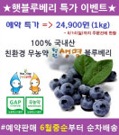 청원생명 블루베리 초특가 예약판매