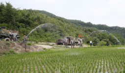 충주 엄정면, 민관군 협력 가뭄에 총력 대응