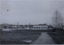 세종 조치원대동초등학교, 25일로 100살 맞았다