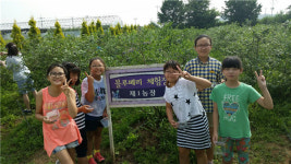 충주가금초,  블루베리 수확 체험