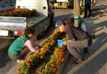 충주교현2동 새마을협 도로변 꽃길조성