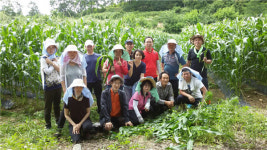 청주세관, 괴산서 농촌봉사활동