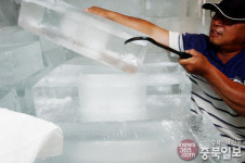 폭염에 쉴새없는 얼음공장