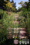 잡초만 무성… 관리 안되는 옥천 지용문학공원