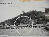 100년의 학교역사가 말한다 - 충주 엄정초등학교