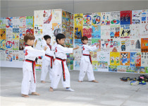 충주세계무술축제, 태권도 고수회 경기대회