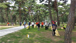 영동 양산면 주민자치위, 송호관광지에서 환경 정화 활동