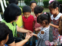 곤충에 대해 배워요