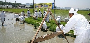 진천군, 용몽리 농요전수관 예산지원