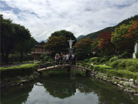 학교 밖 청소년, 대학생 멘토와 꿈드림 활동