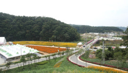 2015 청원생명축제 2일 개막, 오창읍 미래지농촌테마공원에서