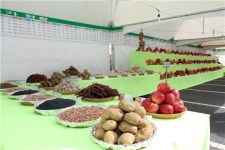 단양군, 친환경 농산물 전시·직판 행사 개최