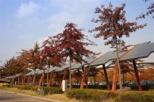 세종 신도시 태양광발전 시설 대대적 확대