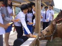 진천군, 청소년의 꿈을 키우는 농촌교육농장 인기