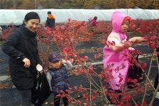 엄정 천사놀이터농원, 훈훈함 전하는 단풍놀이