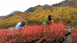 엄정 천사놀이터농원, 훈훈함 전하는 단풍놀이