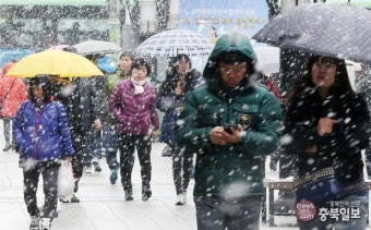 충북 '대설주의보' 발령