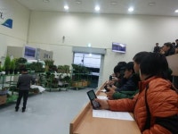 음성화훼유통센터 경매 본격 개시